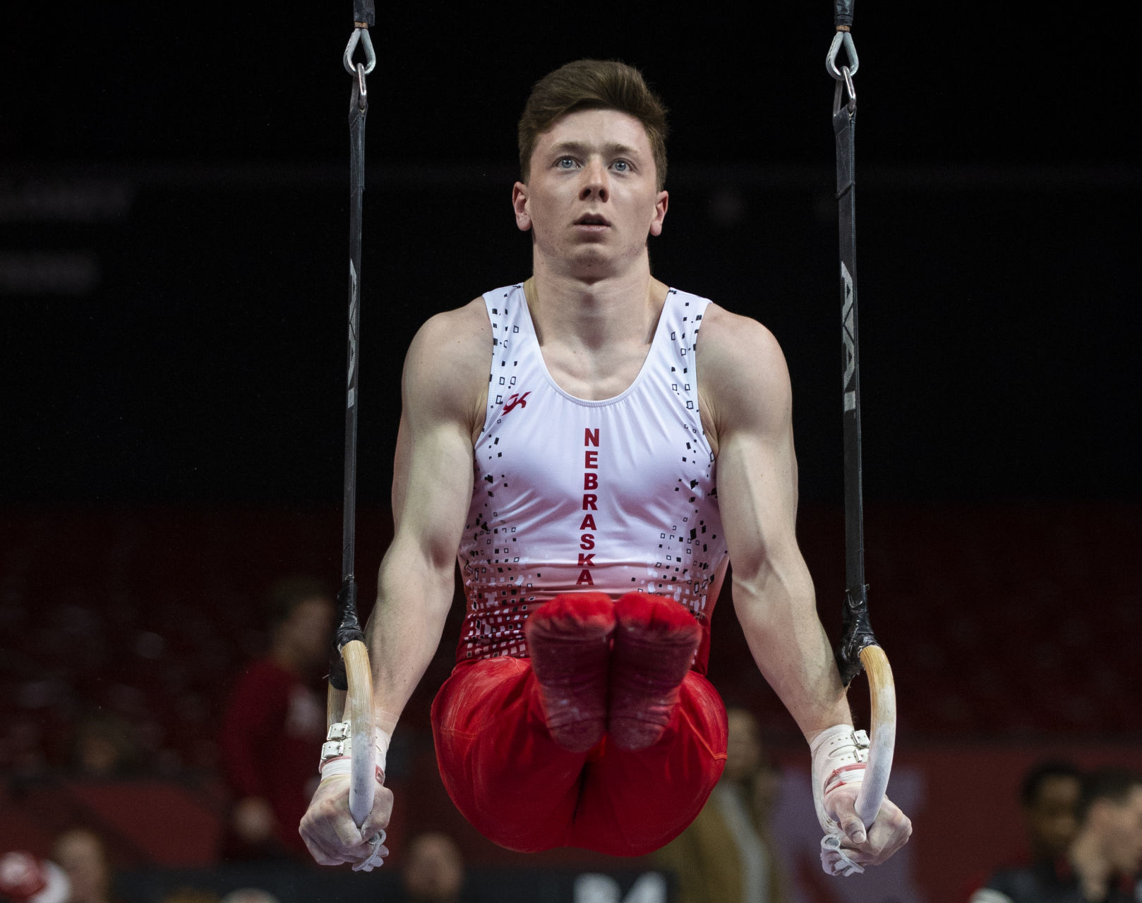 NU men's gymnastics vs. Illinois, Oklahoma, 2.2